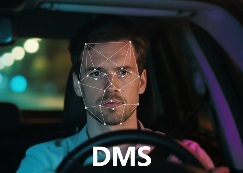 dms la gi