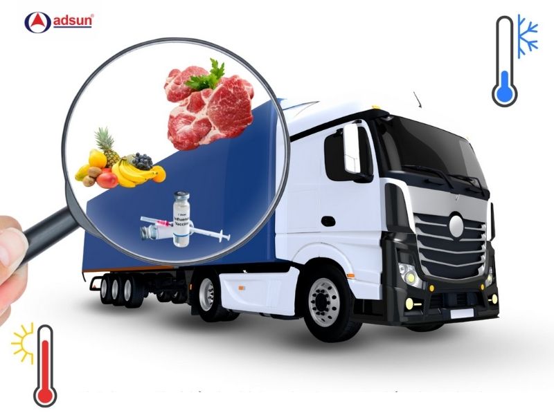 Thực phẩm đông lạnh, dược phẩm, vaccine là các sản phẩm nhạy cảm với nhiệt độ